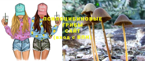 гашиш Белокуриха