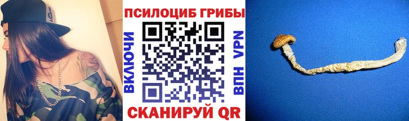 Галлюциногенные грибы MAGIC MUSHROOMS  Сковородино 