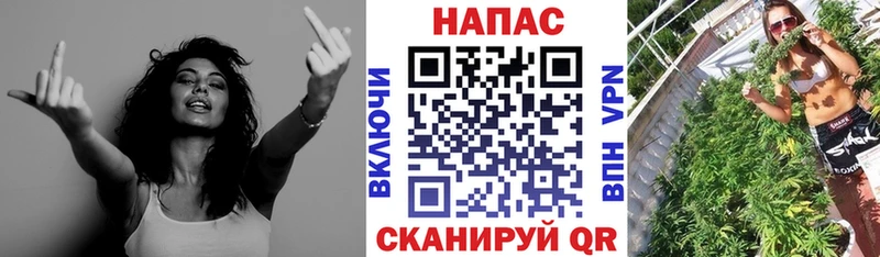 Канабис планчик Сковородино